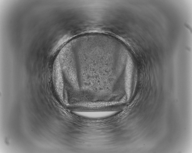 X0000096731359200802261442