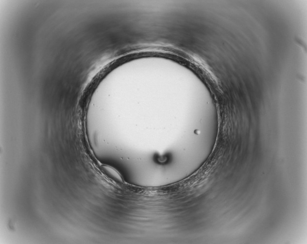 X0000096731360200802261442