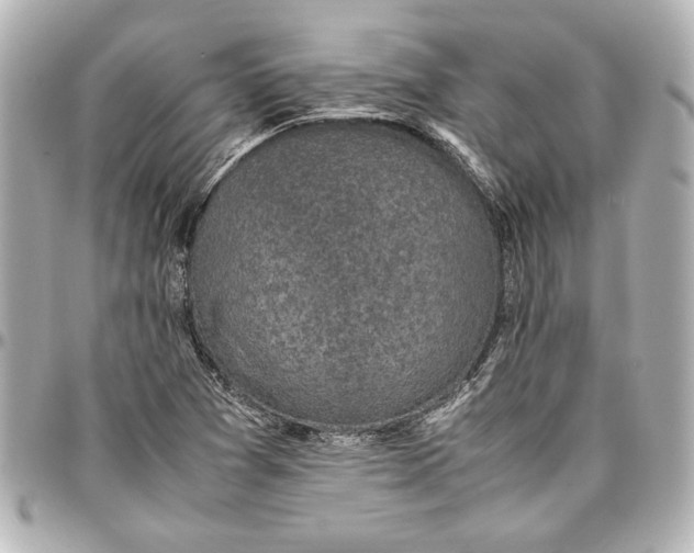 X0000096731361200802261442