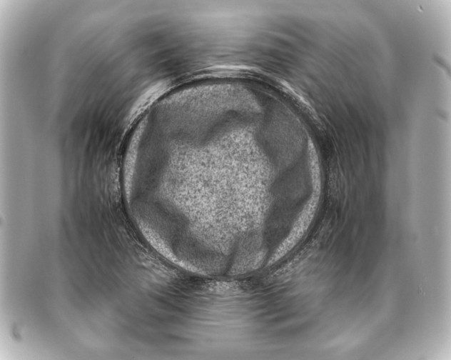 X0000096731362200802261442