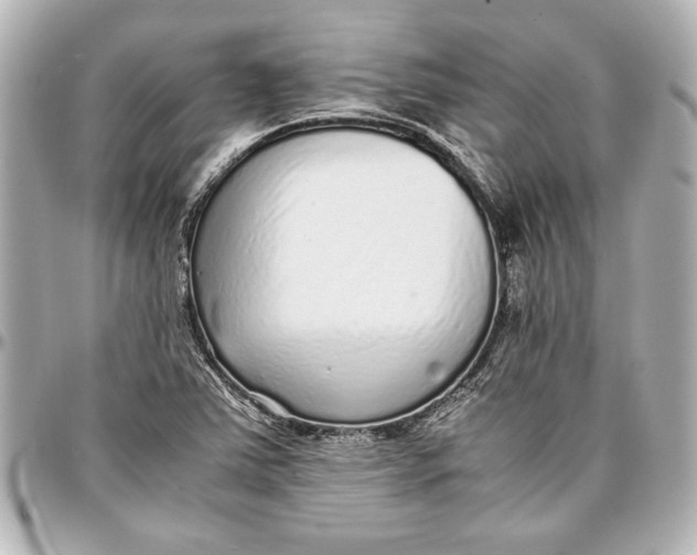 X0000096731363200802261442