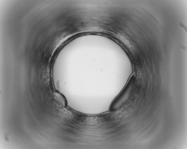 X0000096731364200802261442