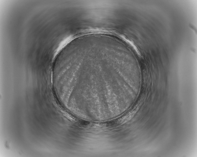 X0000096731365200802261442