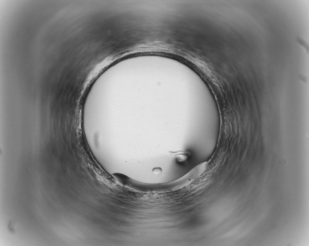 X0000096731366200802261442