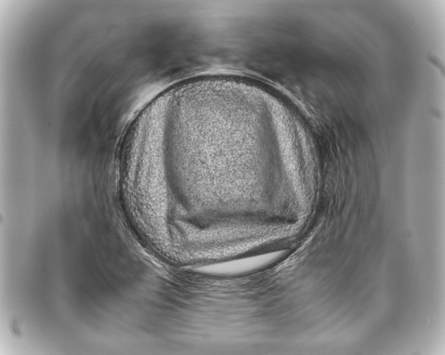 X0000096731367200802261442