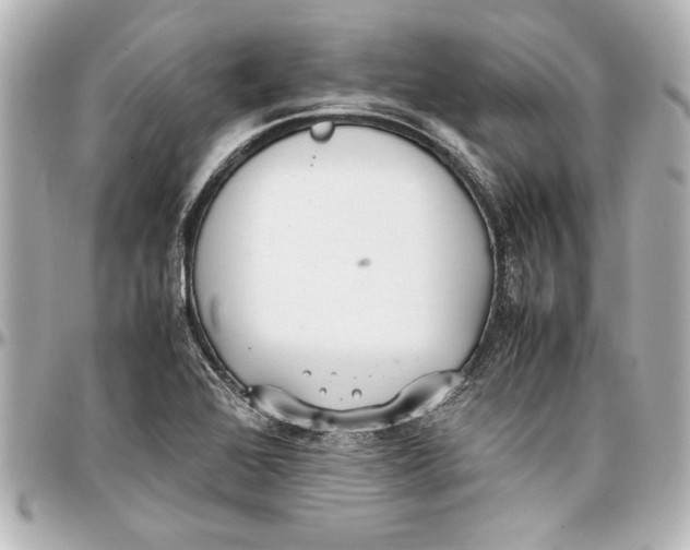 X0000096731368200802261442