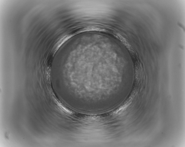 X0000096731369200802261442