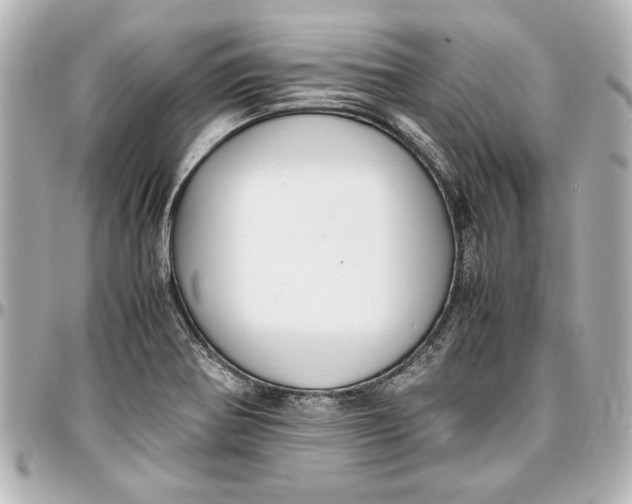 X0000096731370200802261442