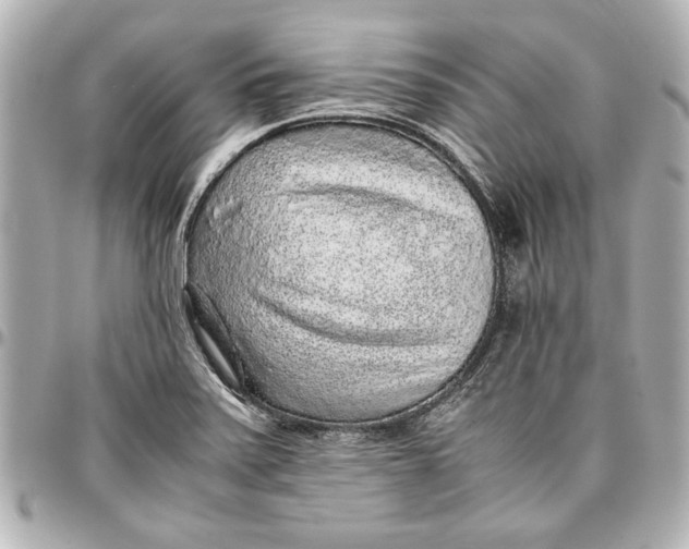 X0000096731371200802261442