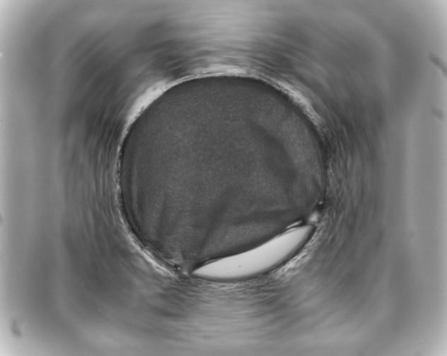 X0000096731373200802261442