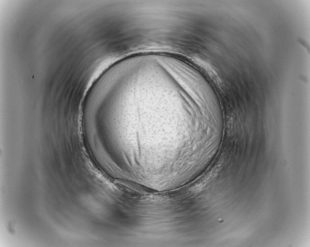 X0000096731374200802261442