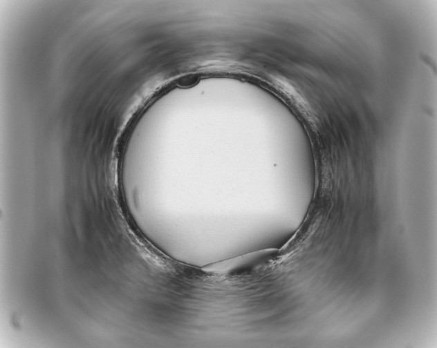 X0000096731376200802261442