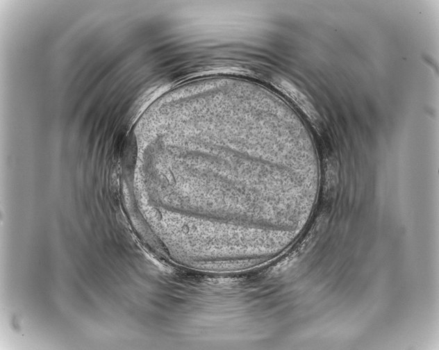 X0000096731377200802261442