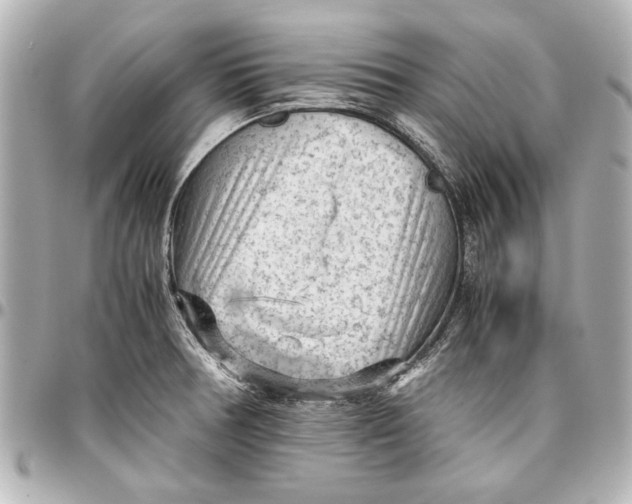 X0000096731378200802261442