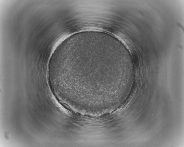 X0000096731379200802261442