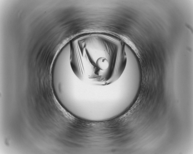 X0000096731380200802261442