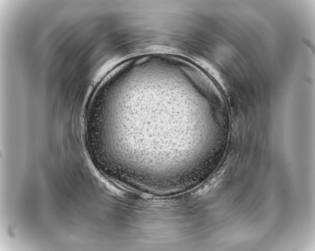 X0000096731381200802261442