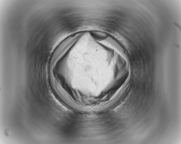 X0000096731382200802261442