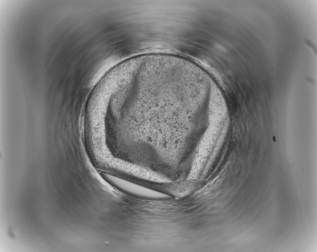 X0000096731383200802261442