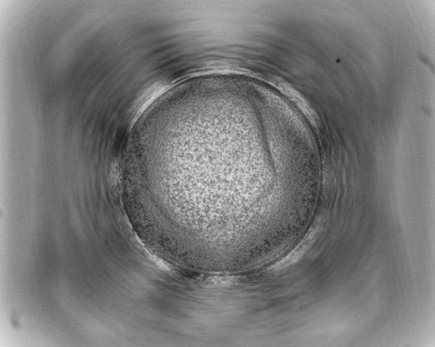 X0000096731385200802261442