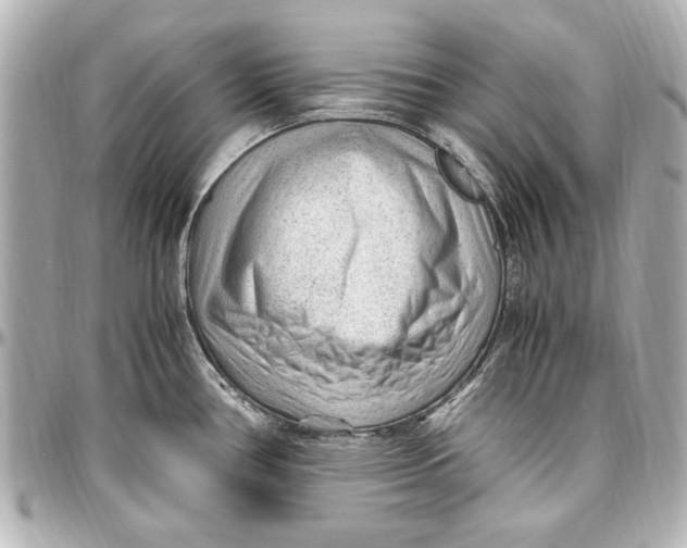 X0000096731386200802261442