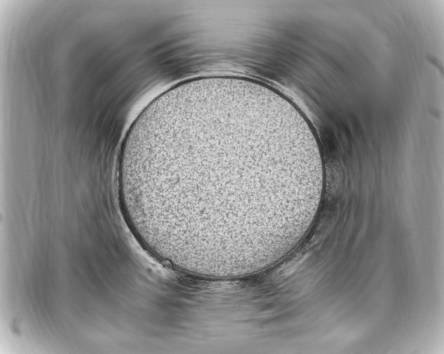 X0000096731387200802261442