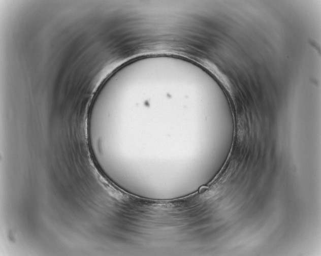 X0000096731388200802261442