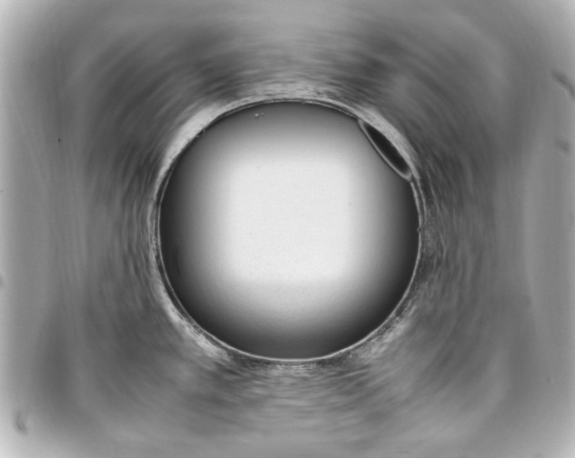 X0000096731389200802261442