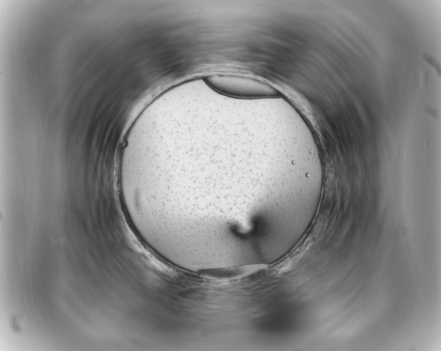 X0000096731390200802261442