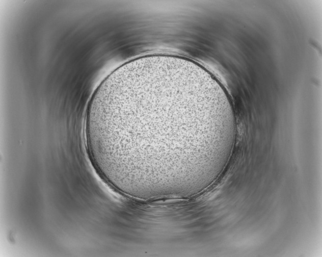 X0000096731391200802261442