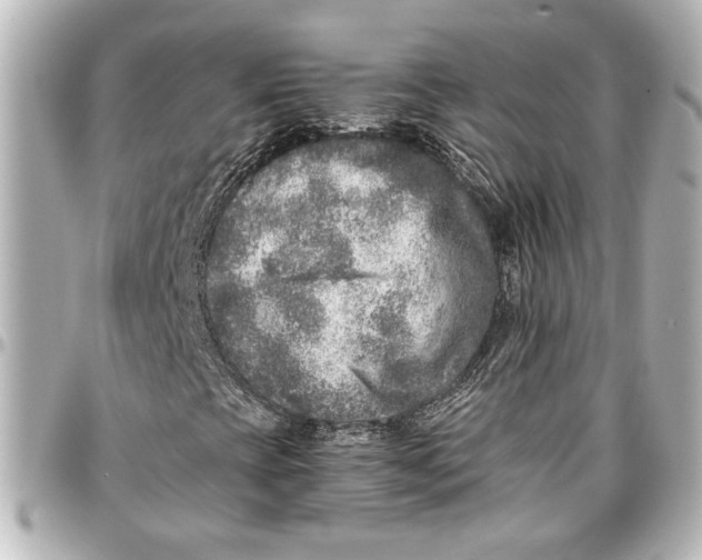 X0000096731393200802261441