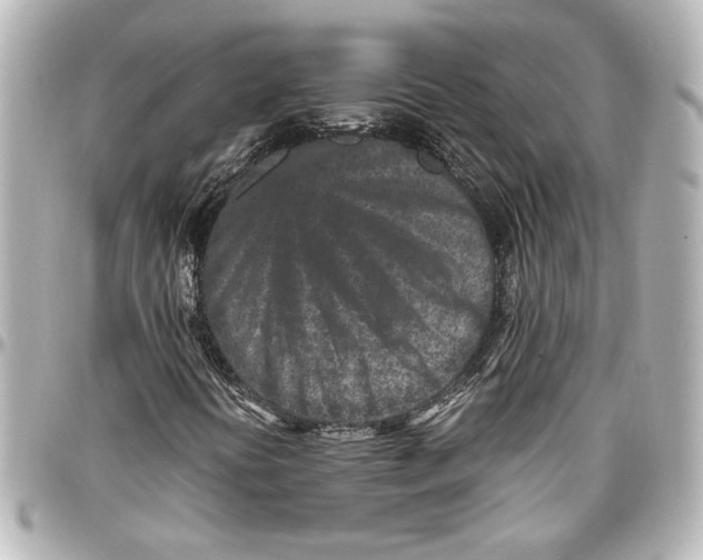 X0000096731394200802261441