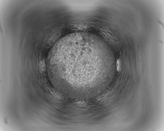 X0000096731395200802261441