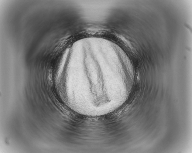 X0000096731396200802261441