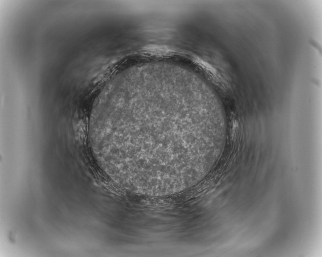 X0000096731397200802261441