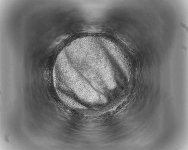 X0000096731398200802261441