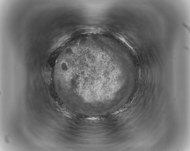 X0000096731399200802261441