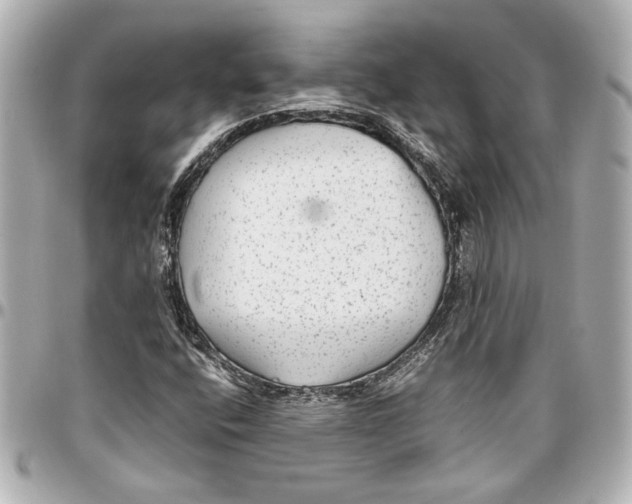 X0000096731400200802261441