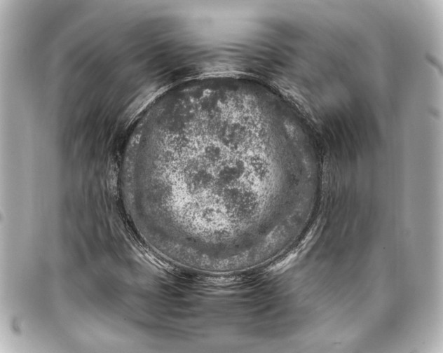 X0000096731401200802261441