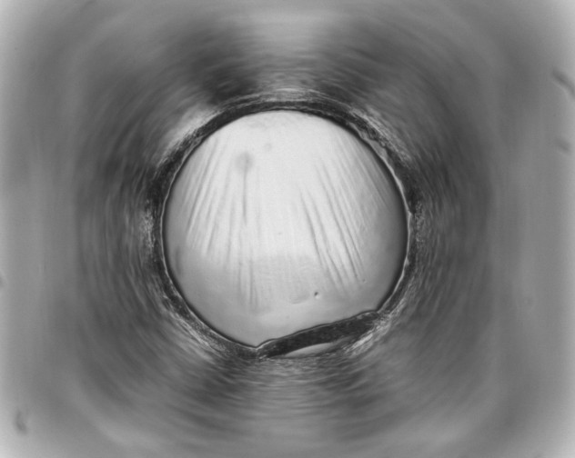 X0000096731402200802261441