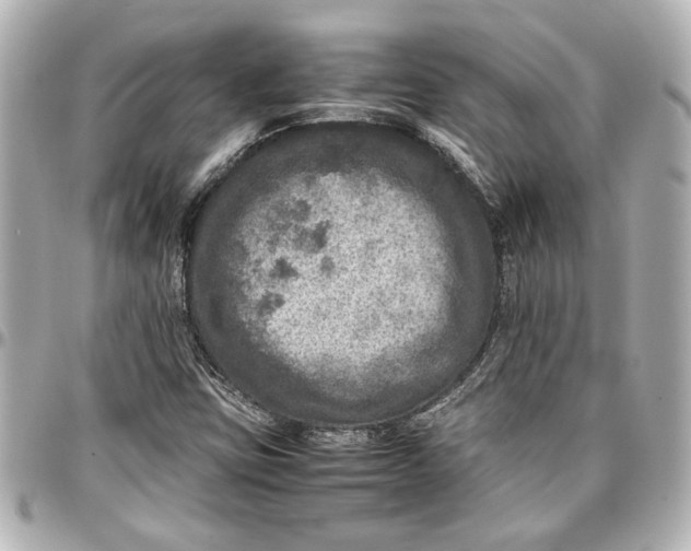 X0000096731403200802261441