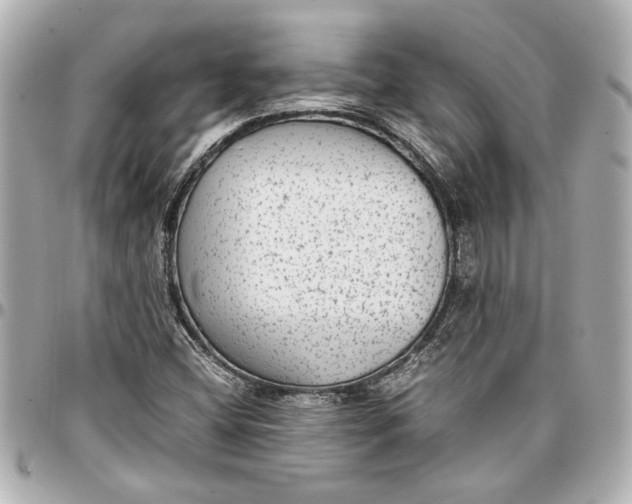 X0000096731404200802261441