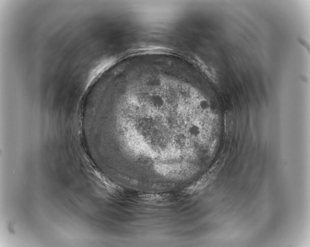 X0000096731405200802261441