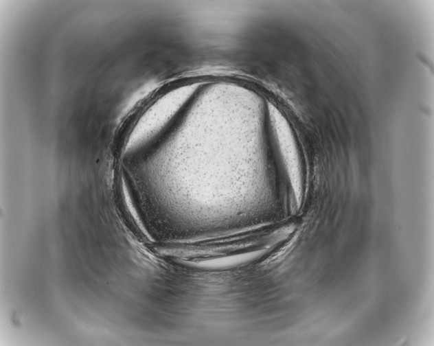 X0000096731406200802261441