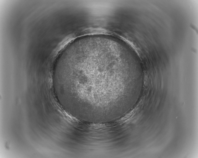 X0000096731407200802261441