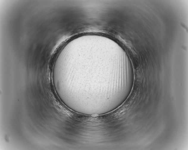 X0000096731408200802261441