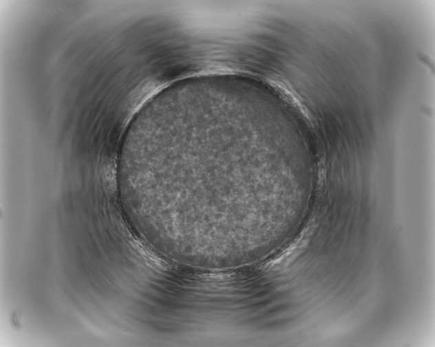 X0000096731409200802261441