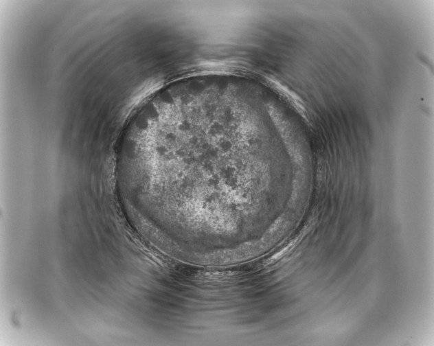 X0000096731411200802261441