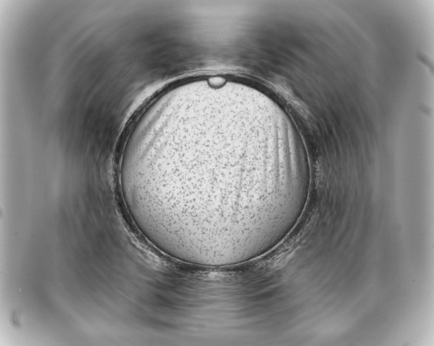 X0000096731412200802261441