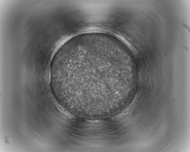 X0000096731413200802261441